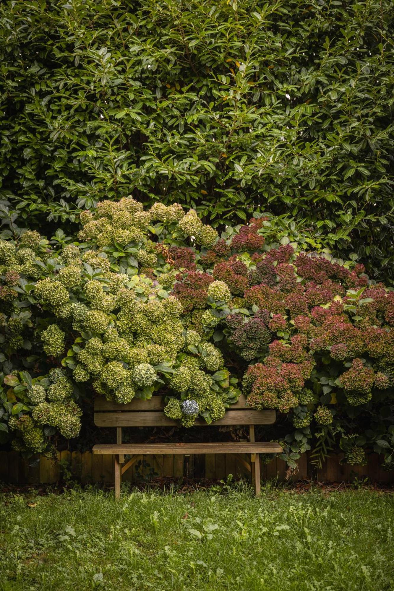 Le Jardin Enchanteur, Chaleureuse Maison D'Hotes Eco-Responsable, Calme Et Accueillante Lopérec Exterior foto